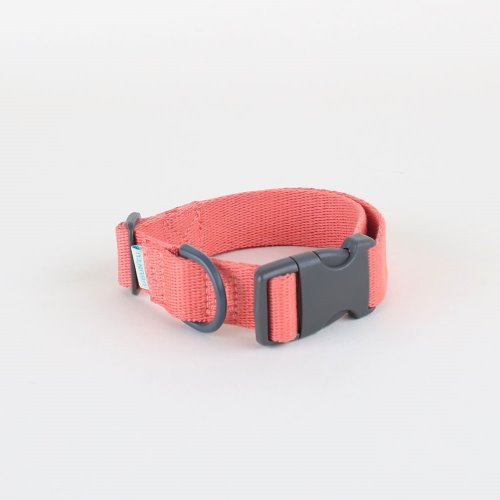 Daily collar _ living coral