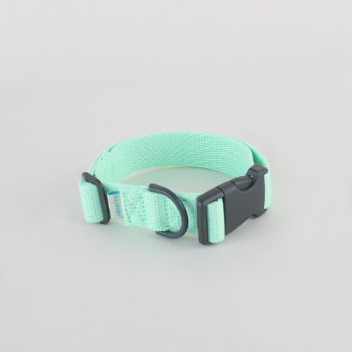 Daily collar _ Neo mint